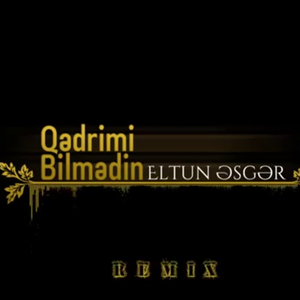 Qedrimi Bilmedi (BASS REMİX)