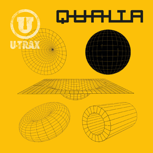 Qualia