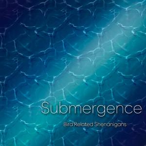 Submergence