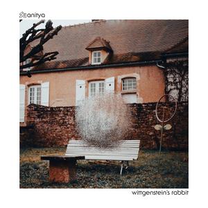 Wittgenstein's Rabbit