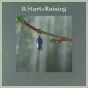 It Starts Raining
