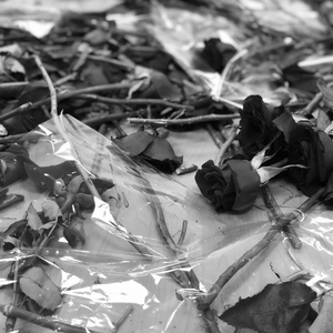 Una Canción Más de Amor