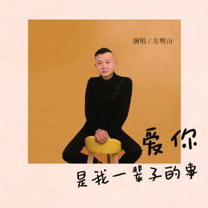 爱你是我一辈子的事