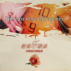夏日最后玫瑰