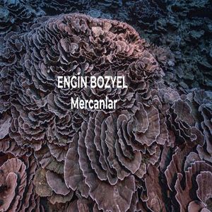 Mercanlar
