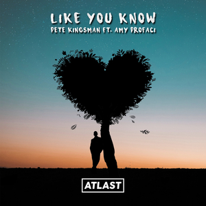 Like You Know (Original Mix)