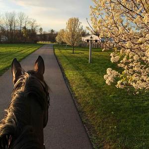 想不想谈恋爱（Prod.Furyl）