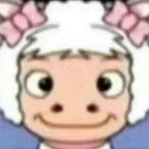 乱成一团的生活