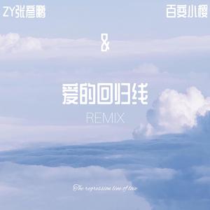 群星-爱的回归线Remix（ZY张彦鹏 / 百变小樱 remix）