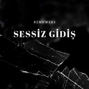 Sessiz Gidiş