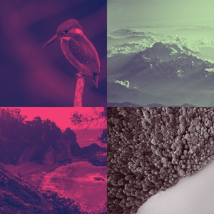 一尘不染积极情绪印象数