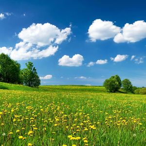 舒缓琴音与白噪共赴梦途