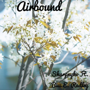 Airbound (feat. Buu E. Radley)