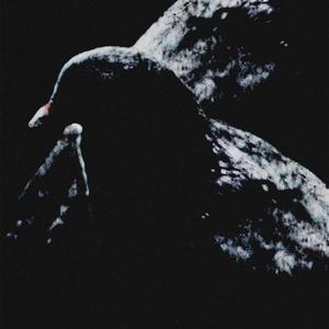 你才是我的目的地