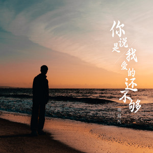 你说是我爱的还不够