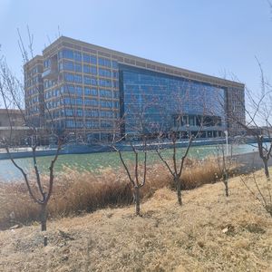 HK的电梯又坏了