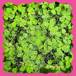 Four Leaf Clover