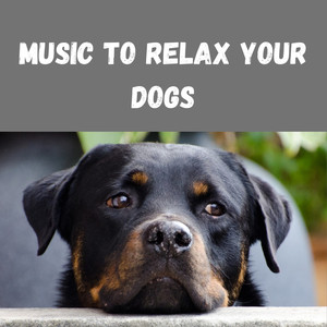 Dog Relaxing Music