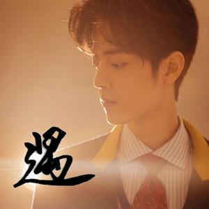 遇（肖战生日应援曲）