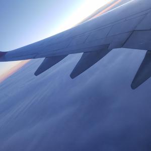 PvZ-植物大战僵尸(屋顶)（戈多 remix）