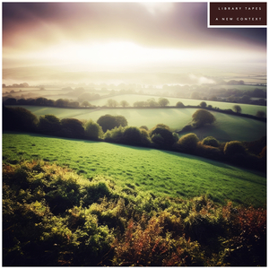 Another Morning Rain