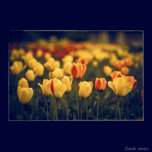 序章：黄昏的序曲