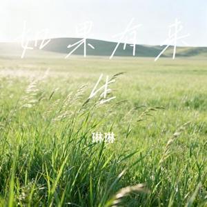 如果有来生 (琳琳 Remix)