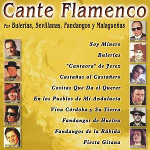 Castañas al Castañero