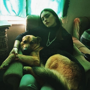 O Teu Cão