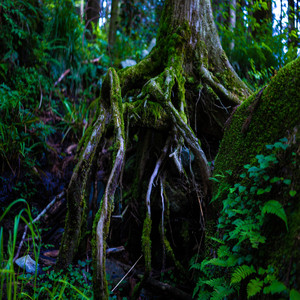 脈輪639Hz冥想：溝通、聆聽、感受、陪伴