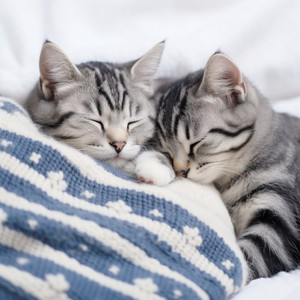 Sueños Oníricos Del Gato A Orillas Del Arroyo