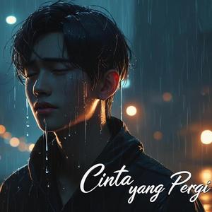 Cinta Yang Pergi