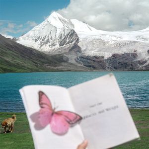 梨园情深梦一场