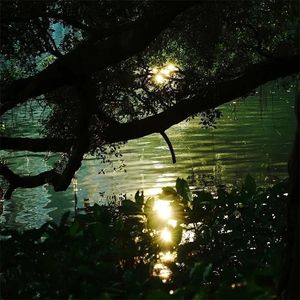 挡不住的暴风雨