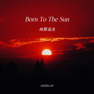 Born To The Sun 向阳而生