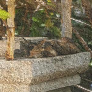 春天音乐（翻自 丢莱卡）