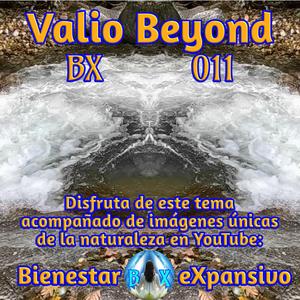 BX 011 Campanas desde casa