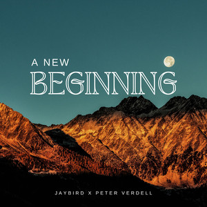 A New Beginning