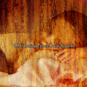 暴风雨之夜关闭