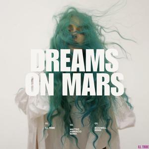 Dreams on Mars (Bozzwell Remix)