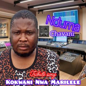 Nduma Chavani (Kokwani Nwa Marilele)tribute song RIP