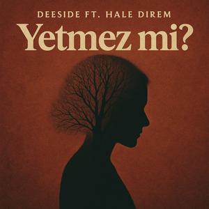 Yetmez mi Gönül?