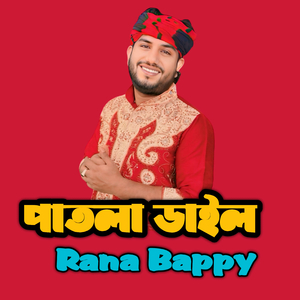 পাতলা ডাইল