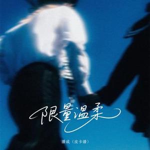 限量温柔 (DJ版)1.2x降调版