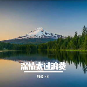 深情太过浪费