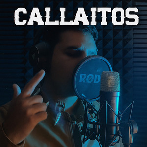 Callaitos