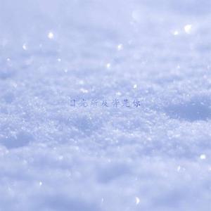 目光所及皆是你