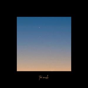 too much (feat. Kaleb Mitchell)