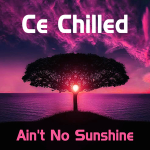 Ain't No Sunshine (Lo-Fi Instrumental)