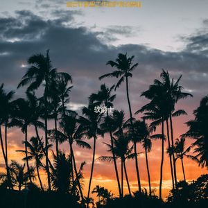 适合在家里工作波萨诺伐舞曲